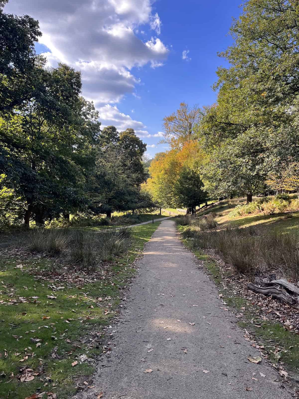 The walk up to Knole House from the Park.
