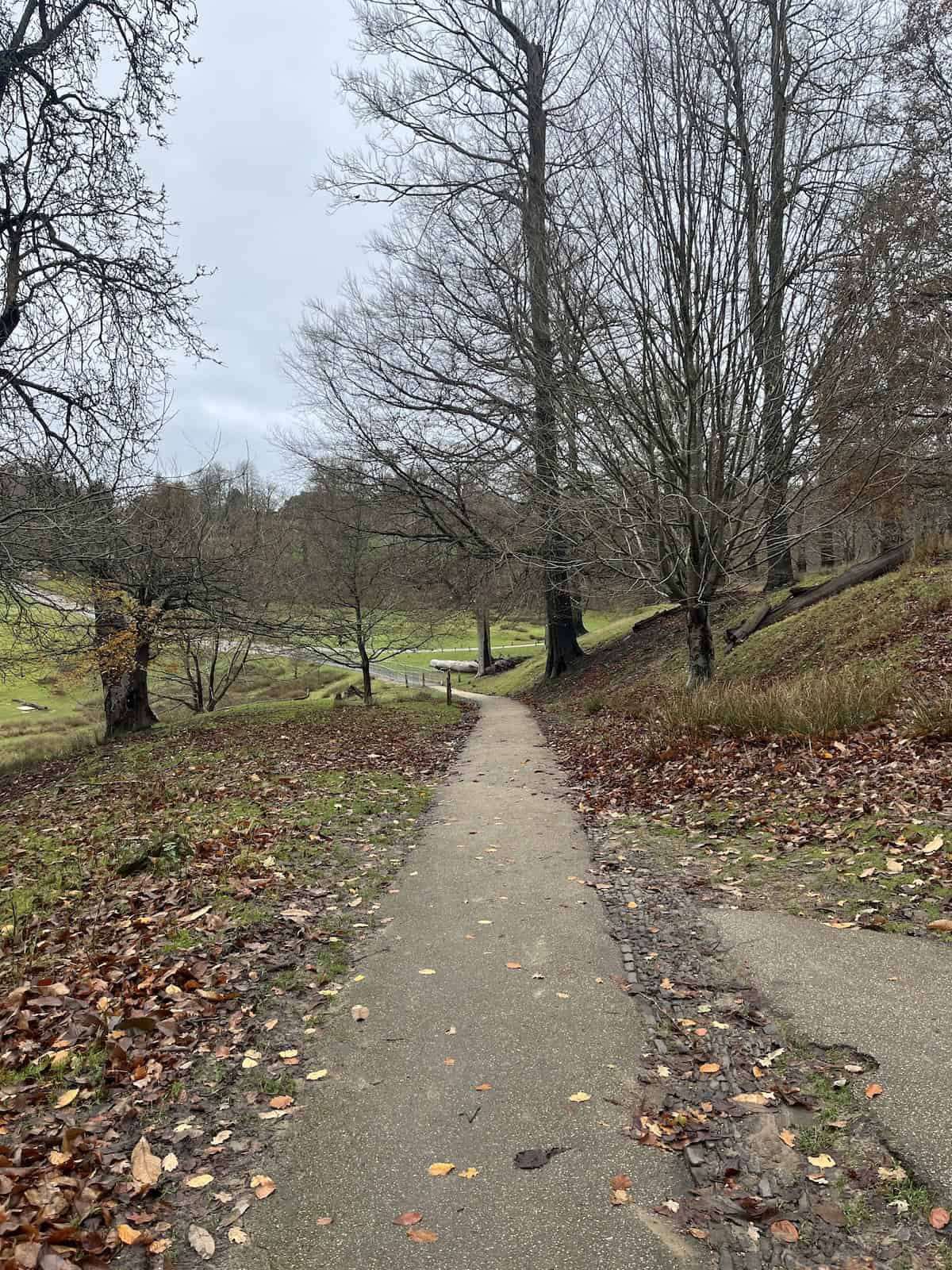 Walking path in Knole Park.