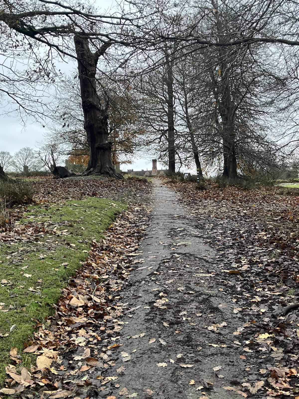 Walking up to Knole House.