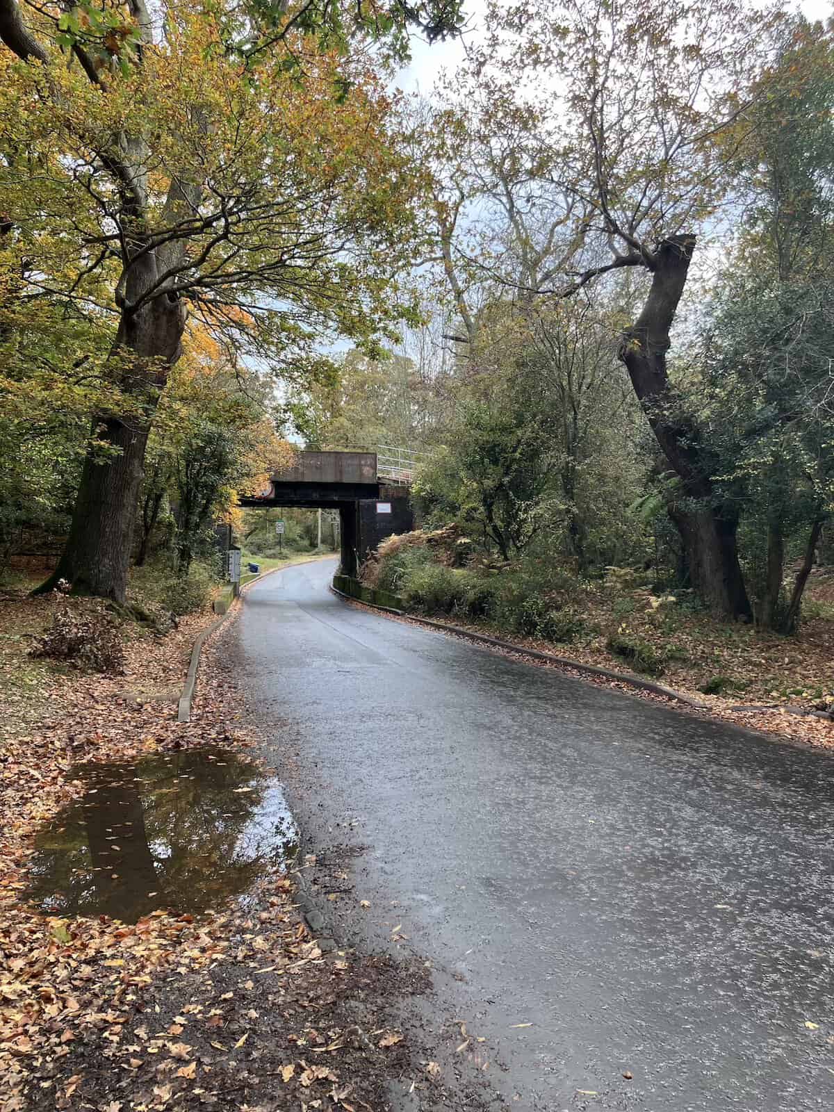 The country road outside The Pig in Hampshire.
